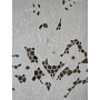 Tenda puro lino con ricamo a mano intaglio 78x150 cm tenda a pannello